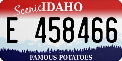 ID license plate E458466