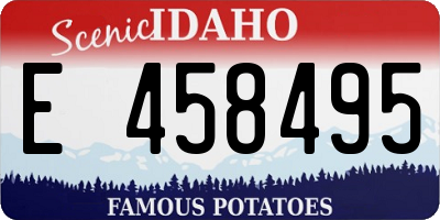 ID license plate E458495