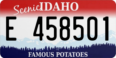 ID license plate E458501