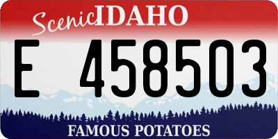 ID license plate E458503