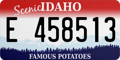 ID license plate E458513