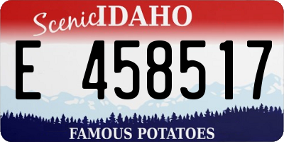 ID license plate E458517
