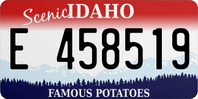 ID license plate E458519