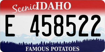 ID license plate E458522