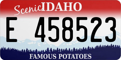ID license plate E458523