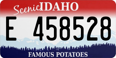 ID license plate E458528