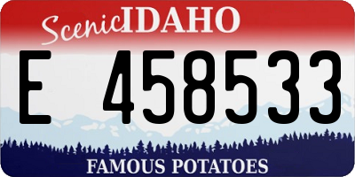 ID license plate E458533