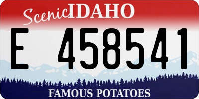 ID license plate E458541