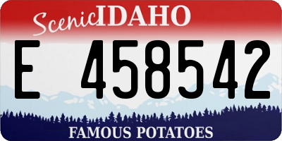 ID license plate E458542