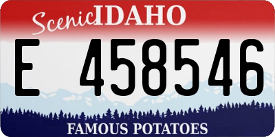 ID license plate E458546