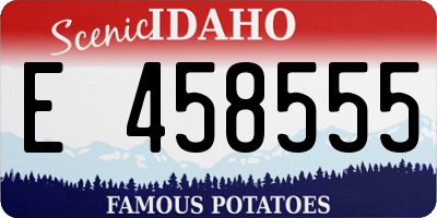 ID license plate E458555