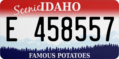 ID license plate E458557