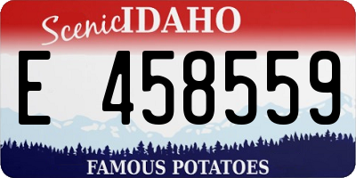 ID license plate E458559