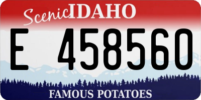 ID license plate E458560