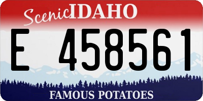 ID license plate E458561