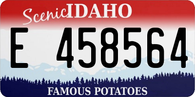 ID license plate E458564