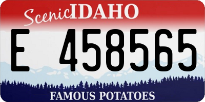 ID license plate E458565
