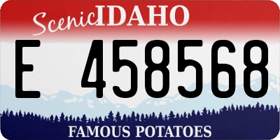 ID license plate E458568