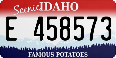 ID license plate E458573