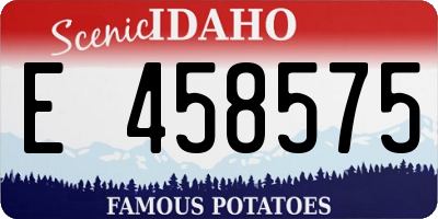 ID license plate E458575