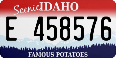 ID license plate E458576