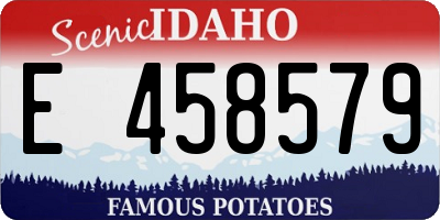 ID license plate E458579