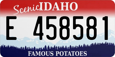 ID license plate E458581