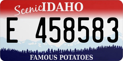 ID license plate E458583