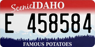 ID license plate E458584