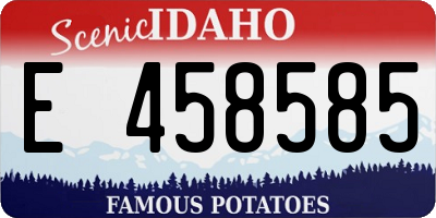 ID license plate E458585