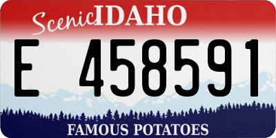 ID license plate E458591