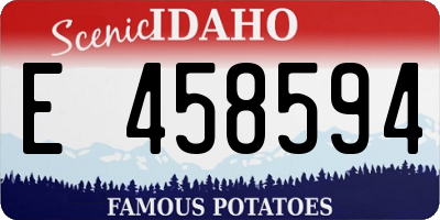 ID license plate E458594