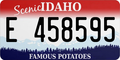 ID license plate E458595