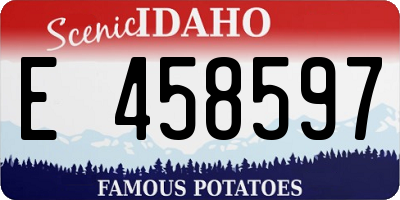 ID license plate E458597