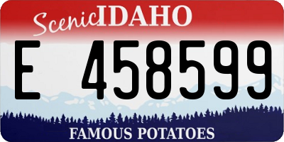 ID license plate E458599