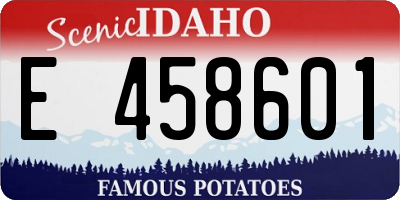 ID license plate E458601