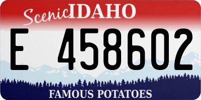 ID license plate E458602
