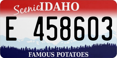 ID license plate E458603