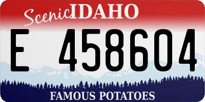ID license plate E458604