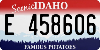 ID license plate E458606