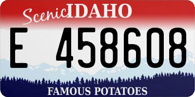 ID license plate E458608
