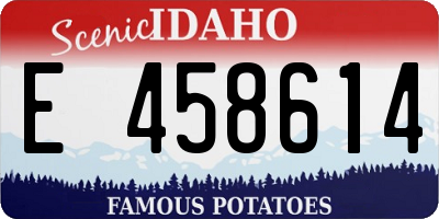 ID license plate E458614