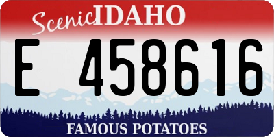 ID license plate E458616