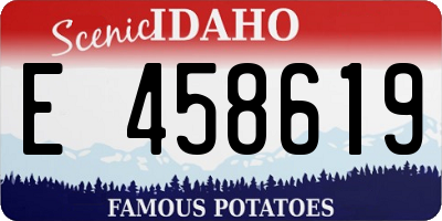ID license plate E458619