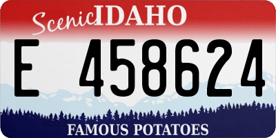 ID license plate E458624