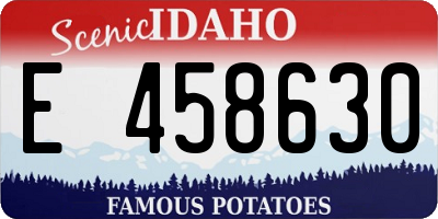 ID license plate E458630