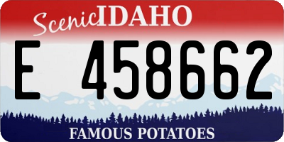 ID license plate E458662