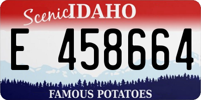 ID license plate E458664