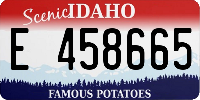 ID license plate E458665