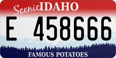 ID license plate E458666
